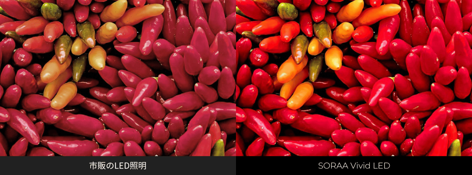 High Color Rendering 1