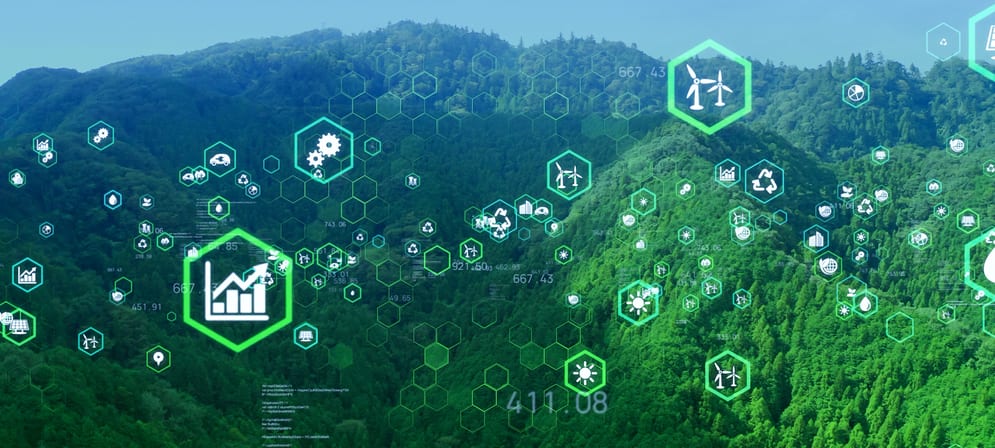 Biochar Background