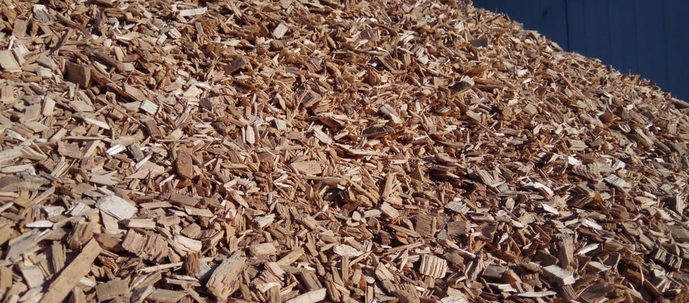 Biochar What V2