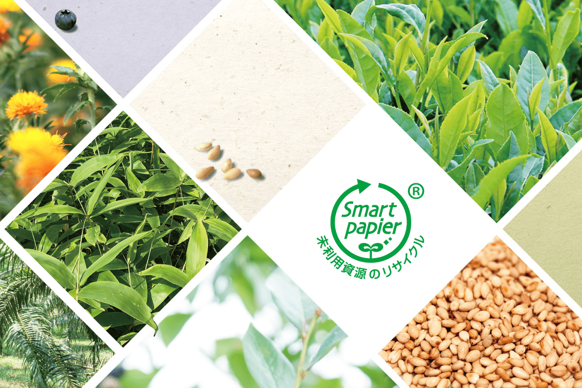 Crown Grp Sdgs Package Img04