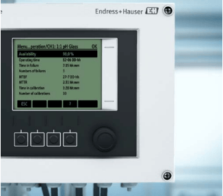 Endress Heartbeat Case10