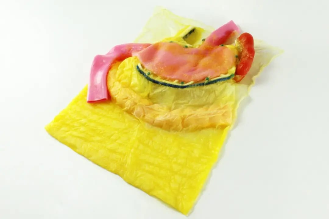 FasoLab臓器モデル