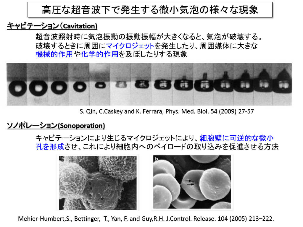 高圧な超音波下で発生する微小気泡の現象