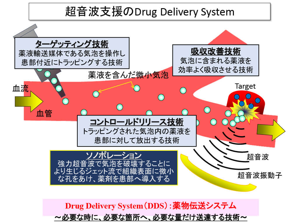 Drug Delivery System（DDS）の仕組み