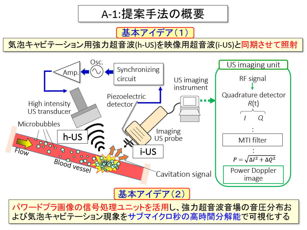 パワードプラ画像を利用したその場観測法01