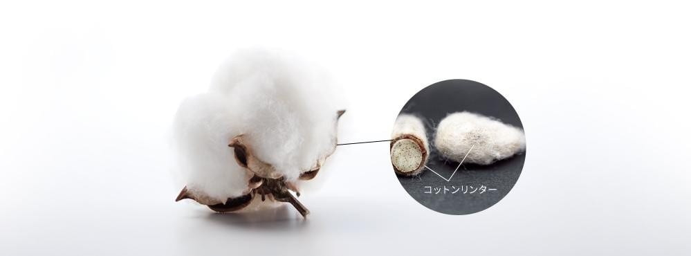 原料は、コットンリンター100％