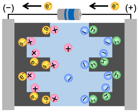 電気化学キャパシタ