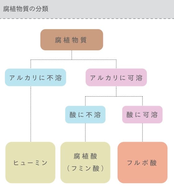 フルボ酸とは