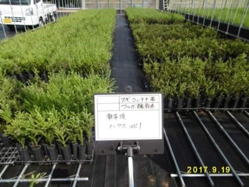 フジミンを使用した国内事業展開