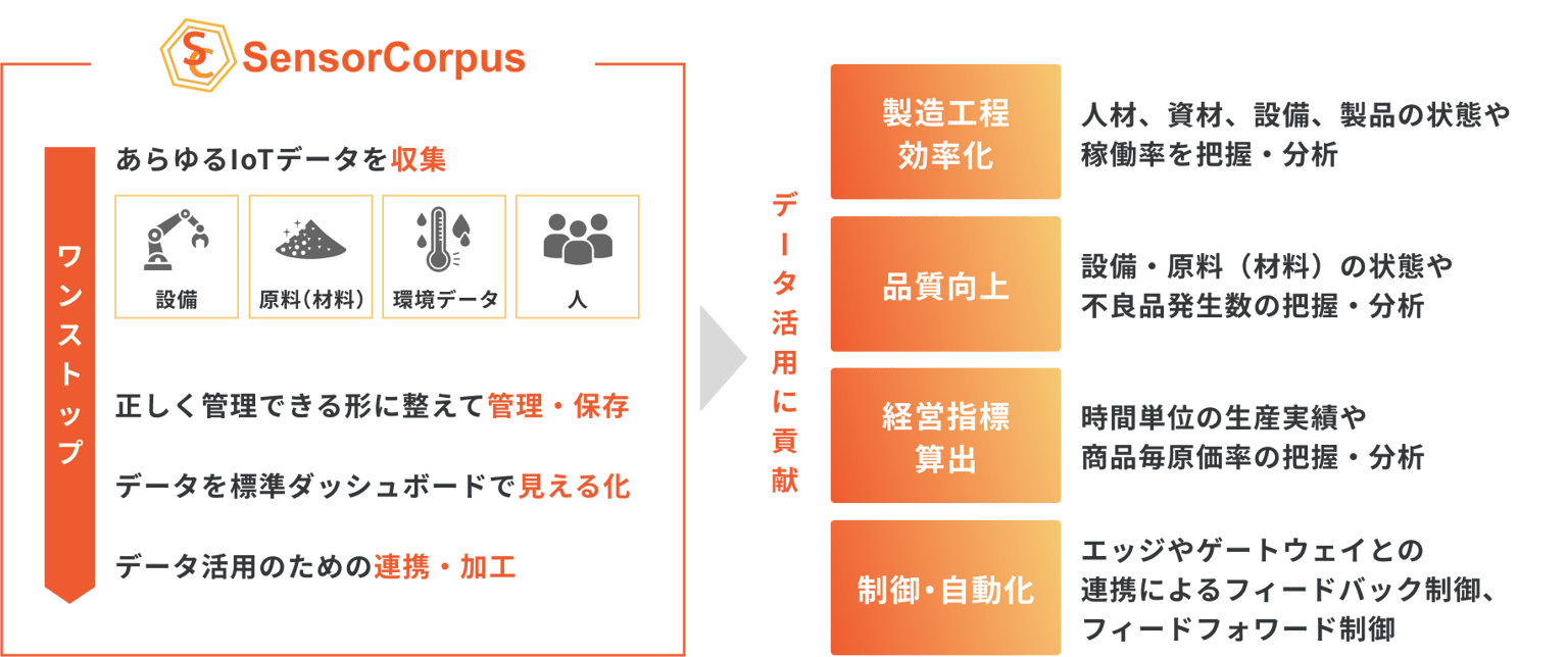 Infocorpus Sensorcorpus Img06 (1)