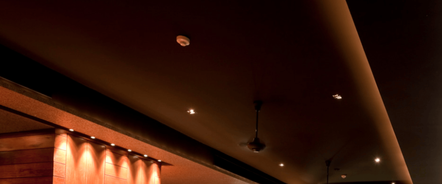 Line Light Article Feature