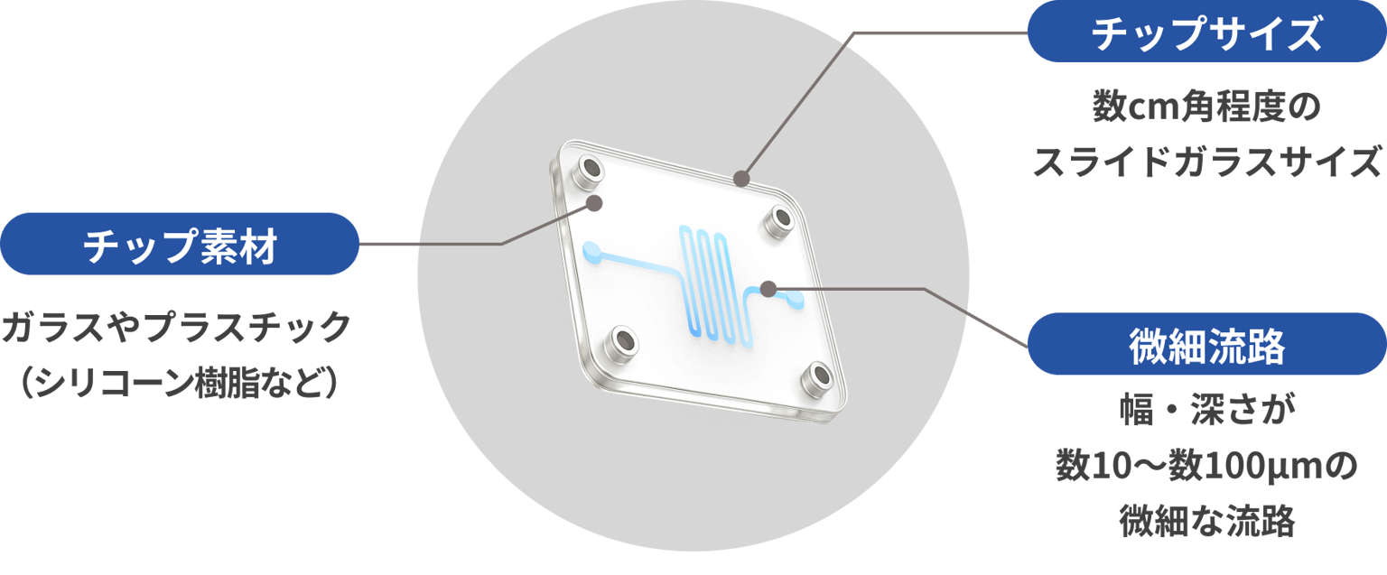 Neos Fcs 01