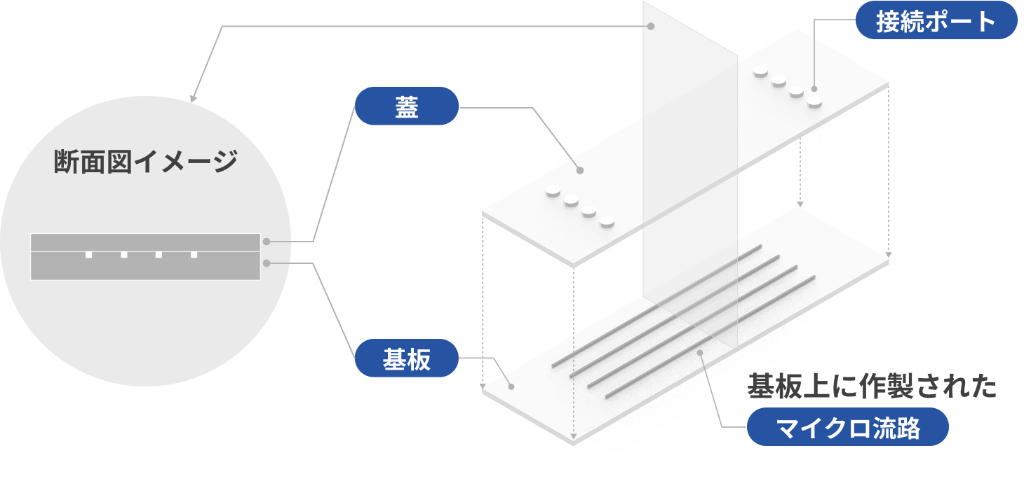 Neos Fcs 02