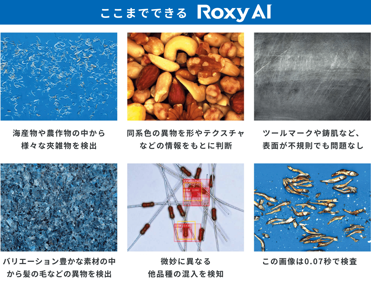 Roxy AI Img03 V2