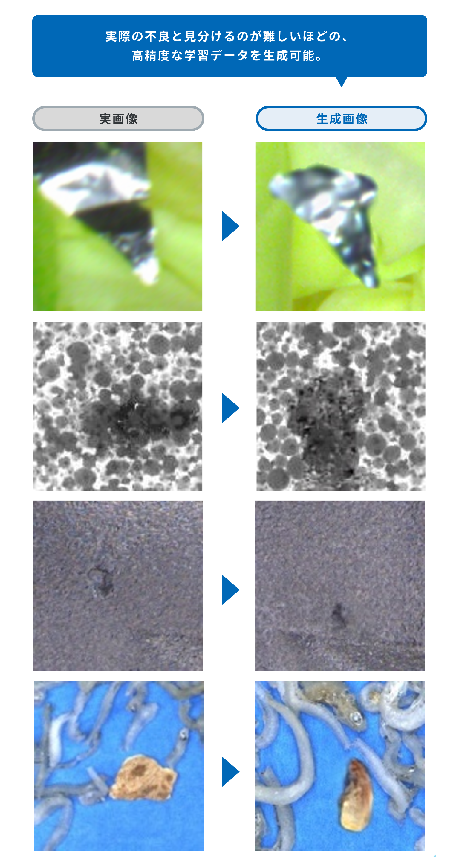 Roxy AI Training Data Img01