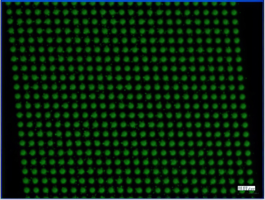 Sijtechnology Img10