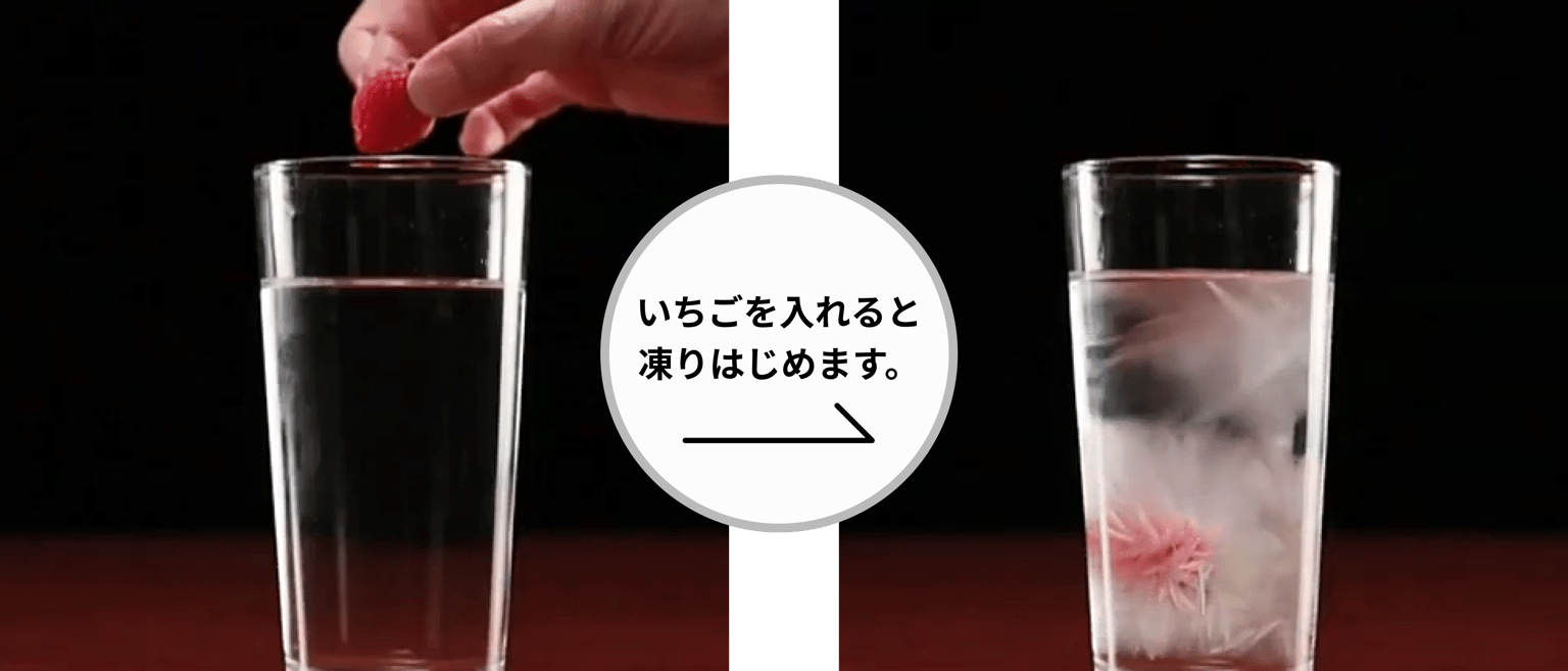 Tokyo Sonowman 02