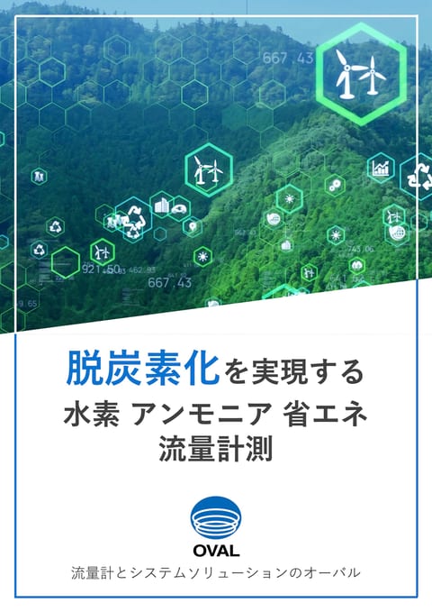 脱炭素化を実現する ⽔素アンモニア省エネ 流量計測